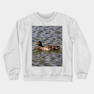 Female Mallard Duck Crewneck Sweatshirt